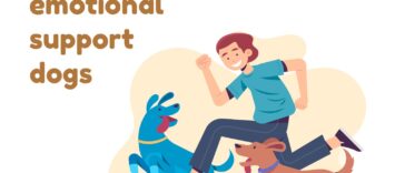 Training for emotional support dogs
