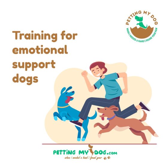 Training for emotional support dogs