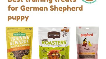 Best training treats for German Shepherd Puppy