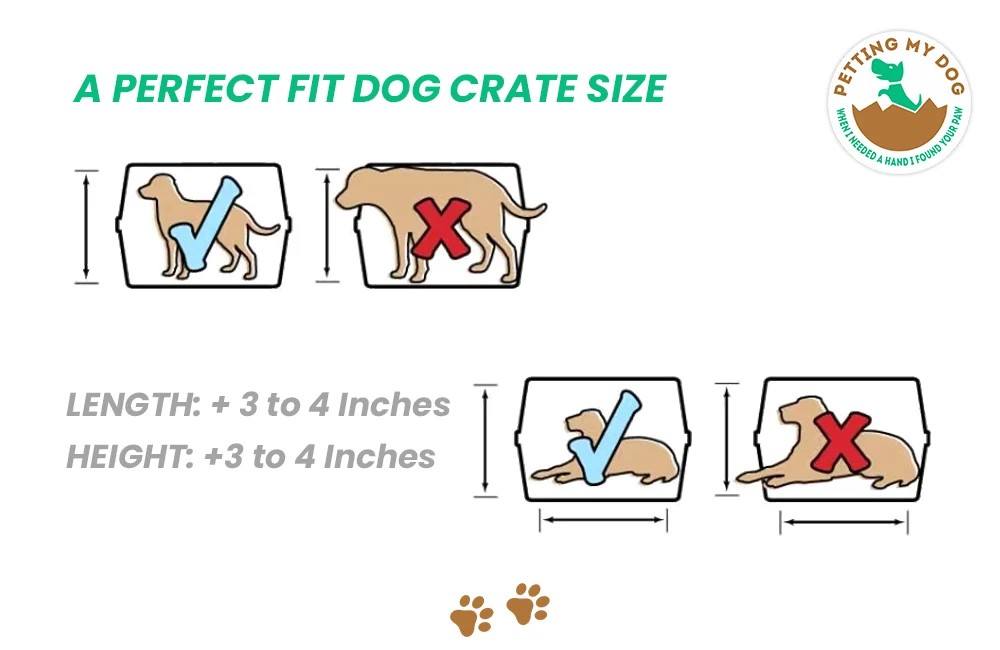 Perfect crate size length and height for your Dog