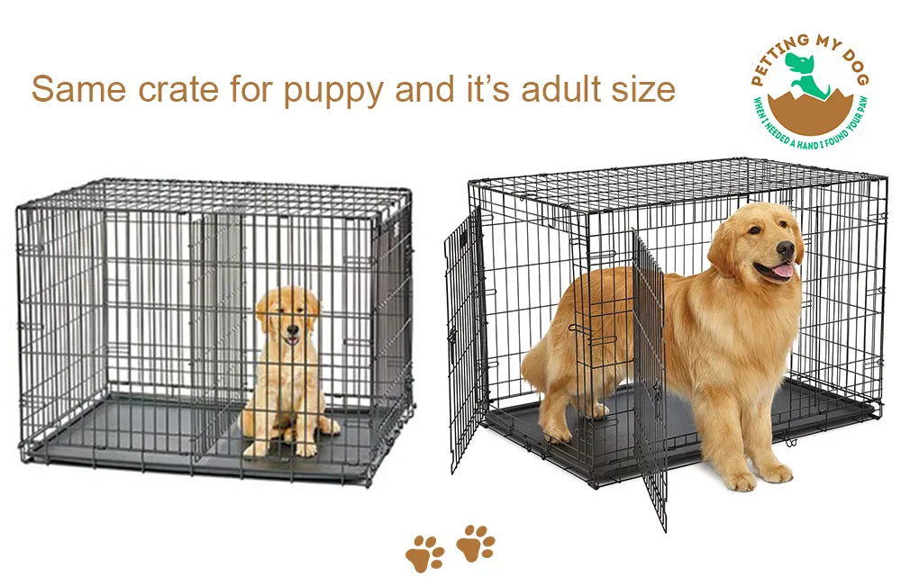 Same crate for Golden Retriever puppy and it’s adult size with divider option