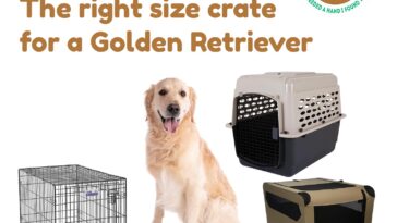The right size crate for Golden Retriever and best one to choose
