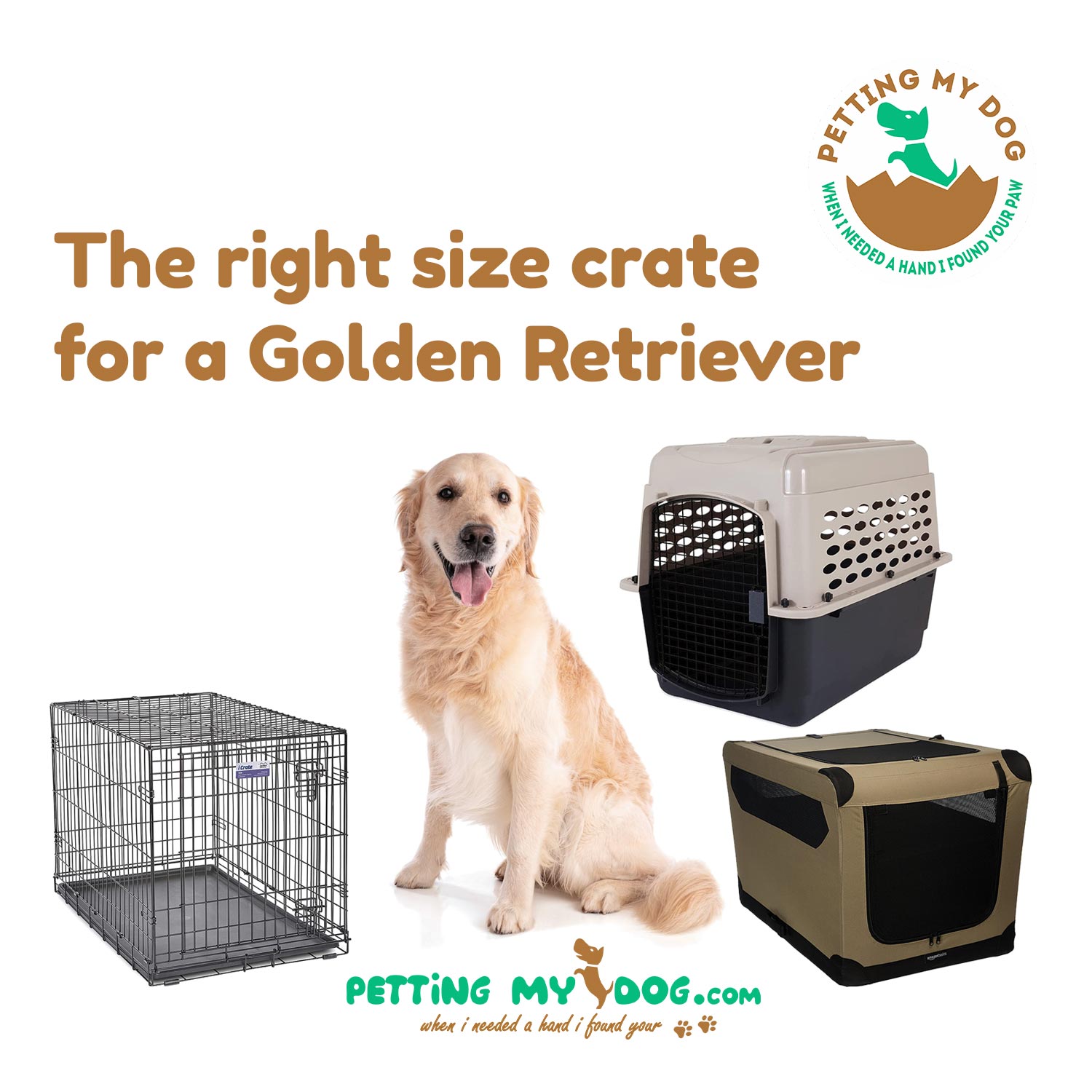The right size crate for Golden Retriever and best one to choose