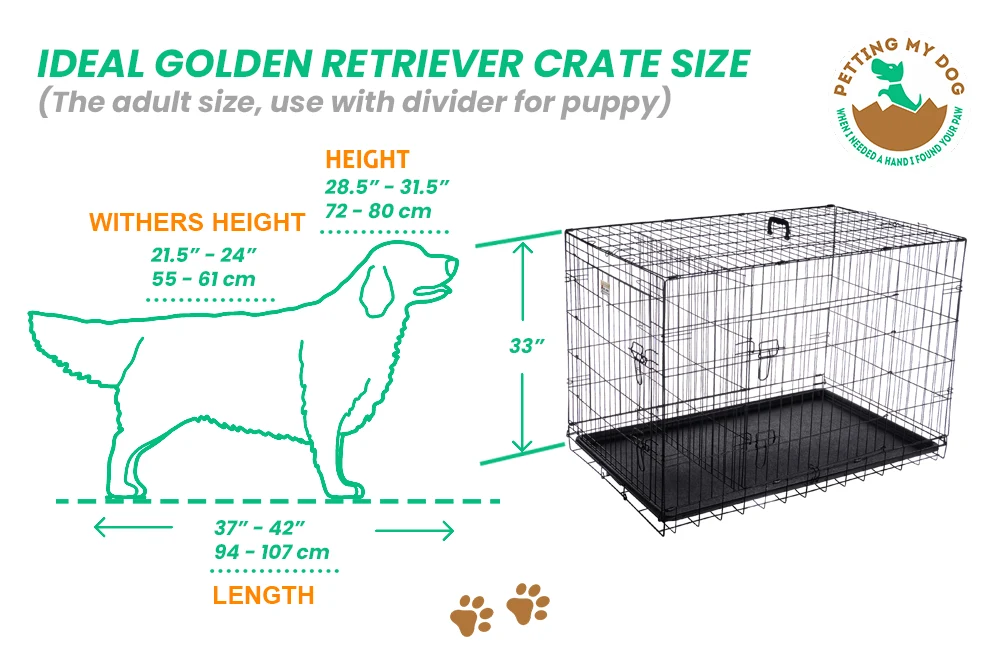 The ideal Golden Retriever Crate Size diagram with dimensions marked